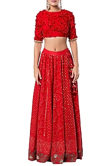RED EMBROIDERED CROP TOP WITH SKIRT by ROCKY STAR